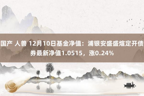 国产 人兽 12月10日基金净值：浦银安盛盛煊定开债券最新净值1.0515，涨0.24%