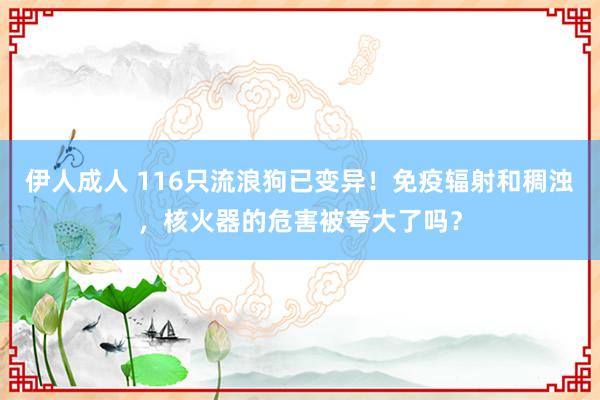 伊人成人 116只流浪狗已变异！免疫辐射和稠浊，核火器的危害被夸大了吗？