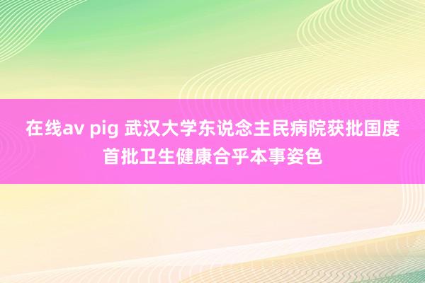 在线av pig 武汉大学东说念主民病院获批国度首批卫生健康合乎本事姿色