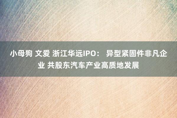 小母狗 文爱 浙江华远IPO： 异型紧固件非凡企业 共股东汽车产业高质地发展