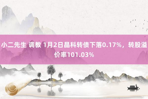 小二先生 调教 1月2日晶科转债下落0.17%，转股溢价率101.03%