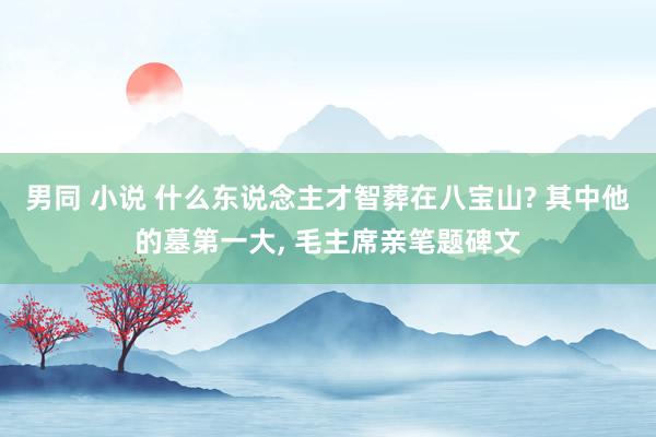 男同 小说 什么东说念主才智葬在八宝山? 其中他的墓第一大， 毛主席亲笔题碑文