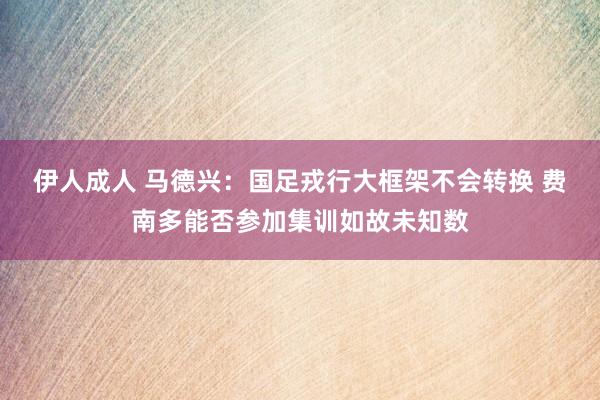 伊人成人 马德兴：国足戎行大框架不会转换 费南多能否参加集训如故未知数