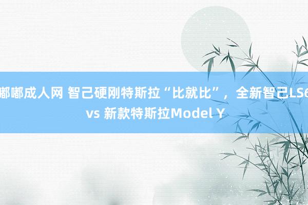 嘟嘟成人网 智己硬刚特斯拉“比就比”，全新智己LS6 vs 新款特斯拉Model Y