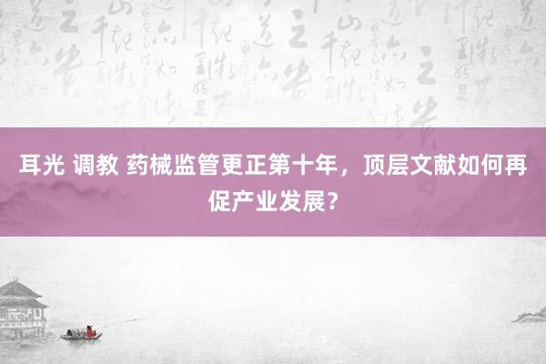 耳光 调教 药械监管更正第十年，顶层文献如何再促产业发展？