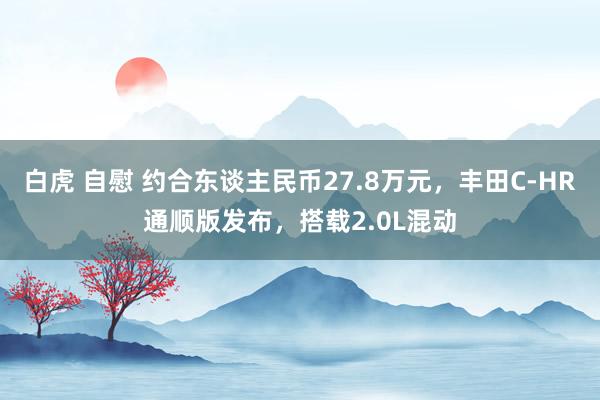 白虎 自慰 约合东谈主民币27.8万元，丰田C-HR通顺版发布，搭载2.0L混动