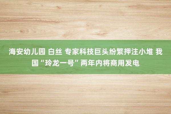 海安幼儿园 白丝 专家科技巨头纷繁押注小堆 我国“玲龙一号”两年内将商用发电